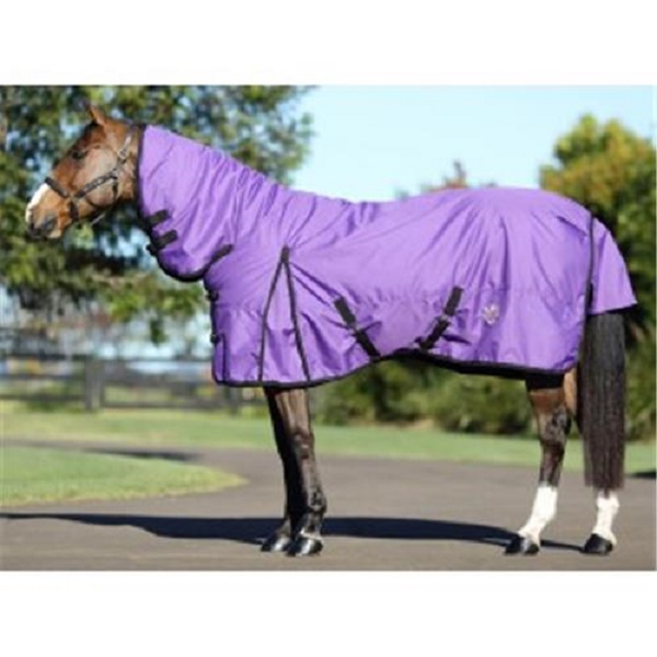 Kozy Purple